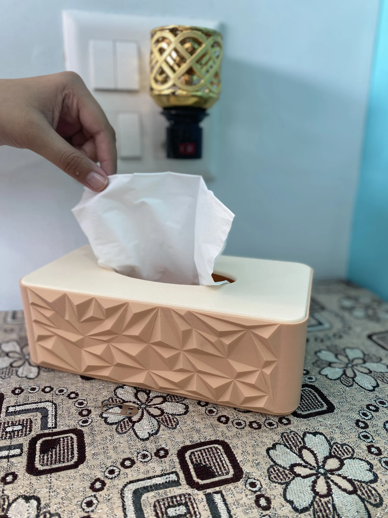 Geometric Tissue Box